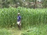 M.P. Chari plot at Farmers field