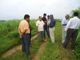 Mr. G.G. Sohani & his team visited Chiplima Farm