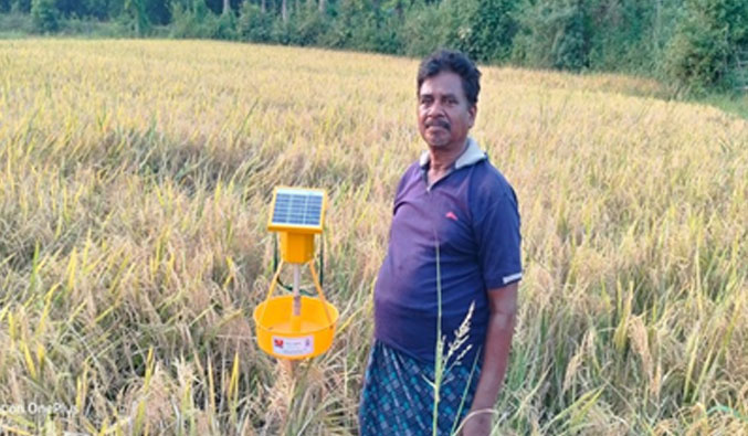 CCDP, HCDP, SAFAL, FRDP, MJMM, BASUDHA