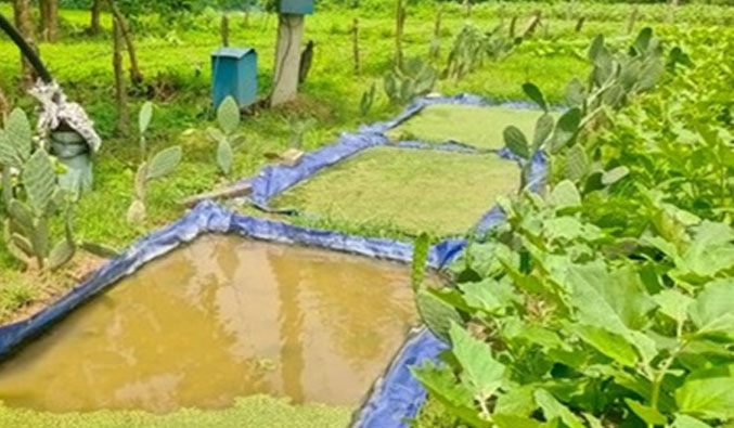 CCDP, HCDP, SAFAL, FRDP, MJMM, BASUDHA