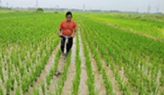 Water-centric Livelihoods for Land Degradation Neutrality and Soil Carbon Enrichment