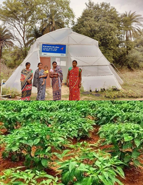 CCDP, HCDP, SAFAL, FRDP, MJMM, BASUDHA