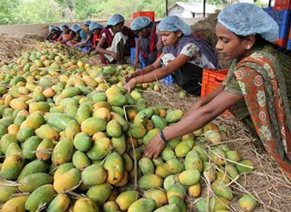 Farmer Organisations