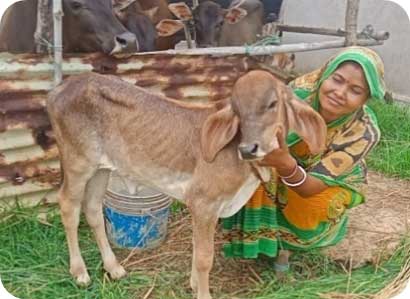 Livestock-based Livelihoods and Enteric Methane Emissions Reduction