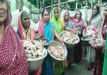 Empowering Women Through Mushroom Cultivation